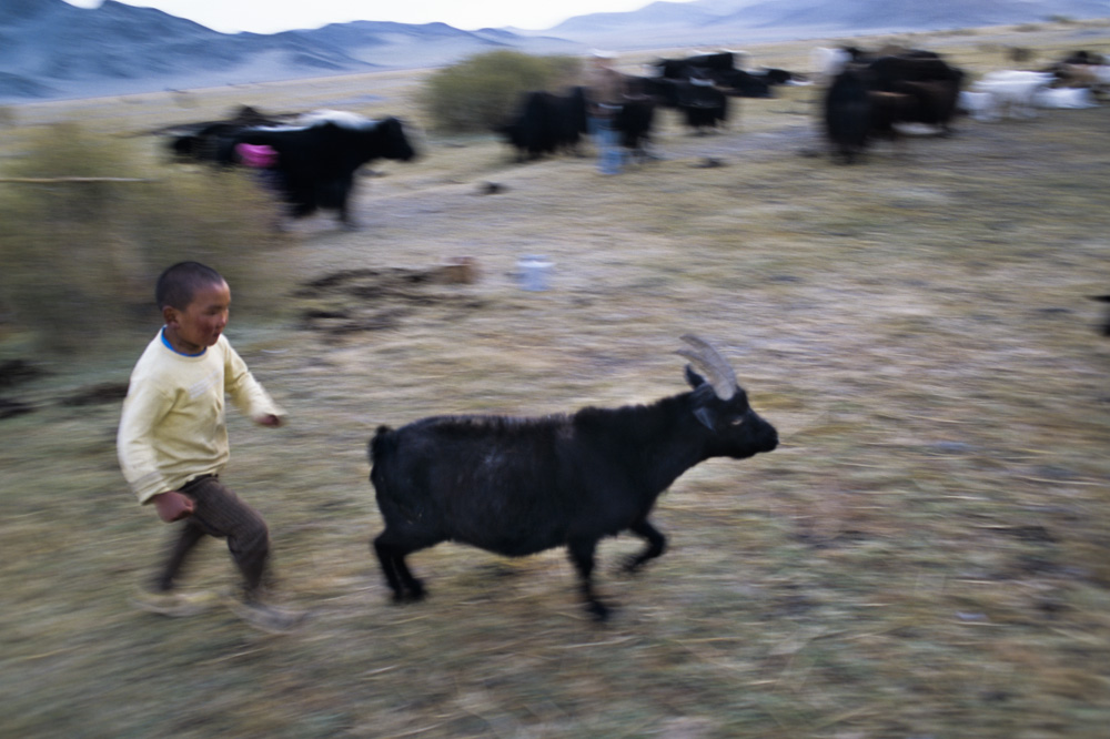 Nomads Nomadic Children Mongolia - copyright 2013 Sven Zellner/Agentur Focus